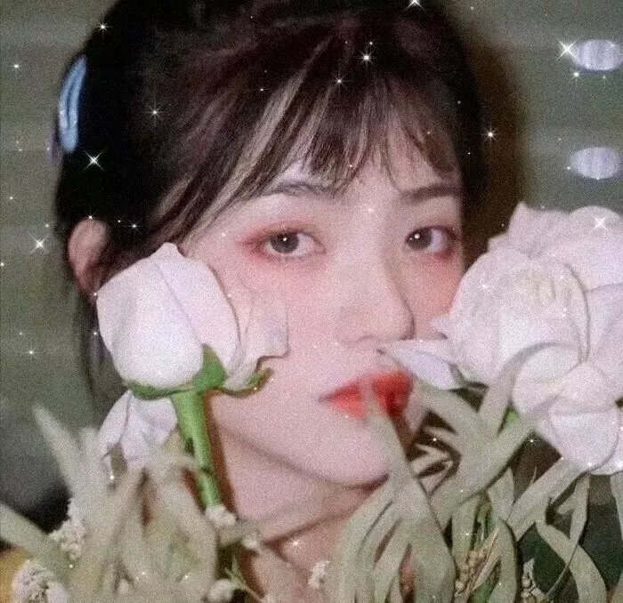 山狗